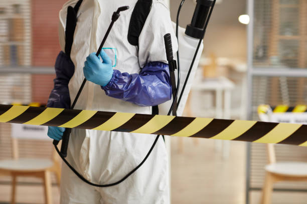 Professional Sewage Cleanup technician working in Tipton, CA